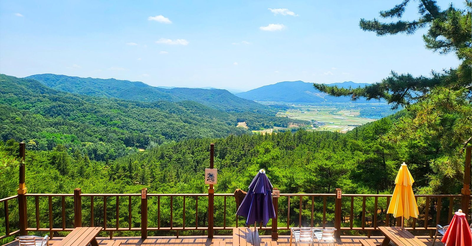 사자암 앞 나무 데크 난간 너머로 펼쳐진 소나무 숲과 겹겹의 산줄기, 먼 들녘